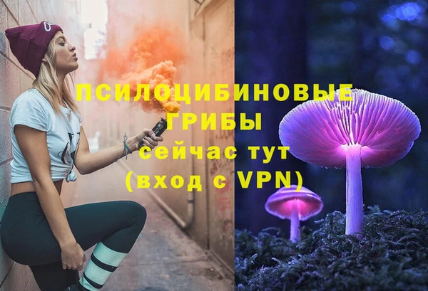 круглые Алексеевка