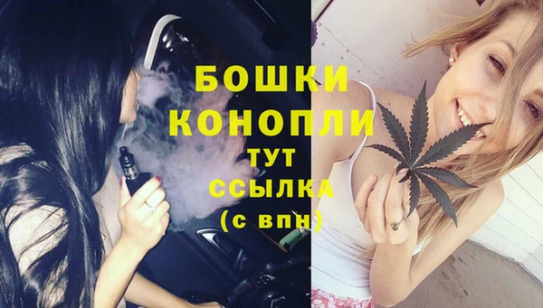 трава Новозыбков